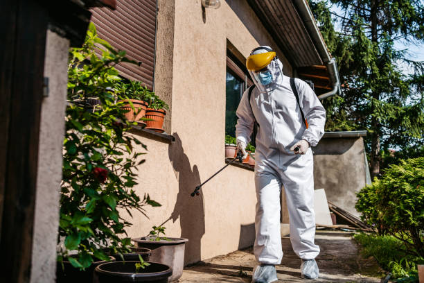 Flea Control Services in South Hill, VA