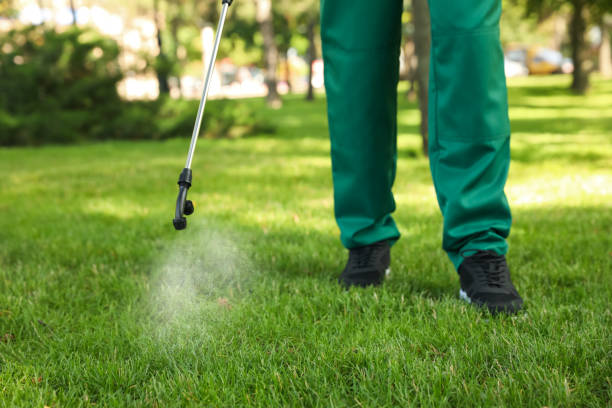 Best Termite Control Services  in South Hill, VA