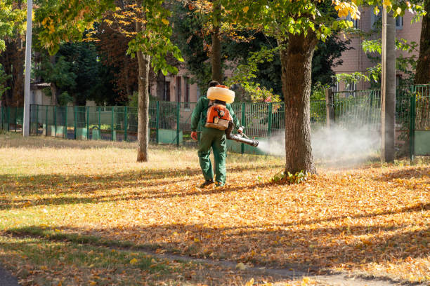 Reliable South Hill, VA Pest Control Solutions